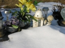 Cmentarz - widok zima 2014-15
